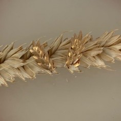 Gold plated ear of wheat...