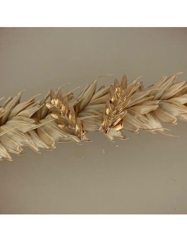 Gold plated ear of wheat earrings