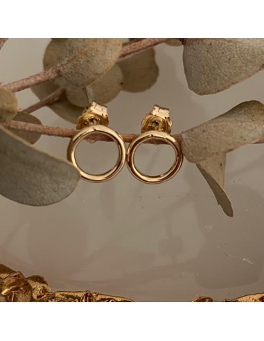 Gold filled small ring earrings